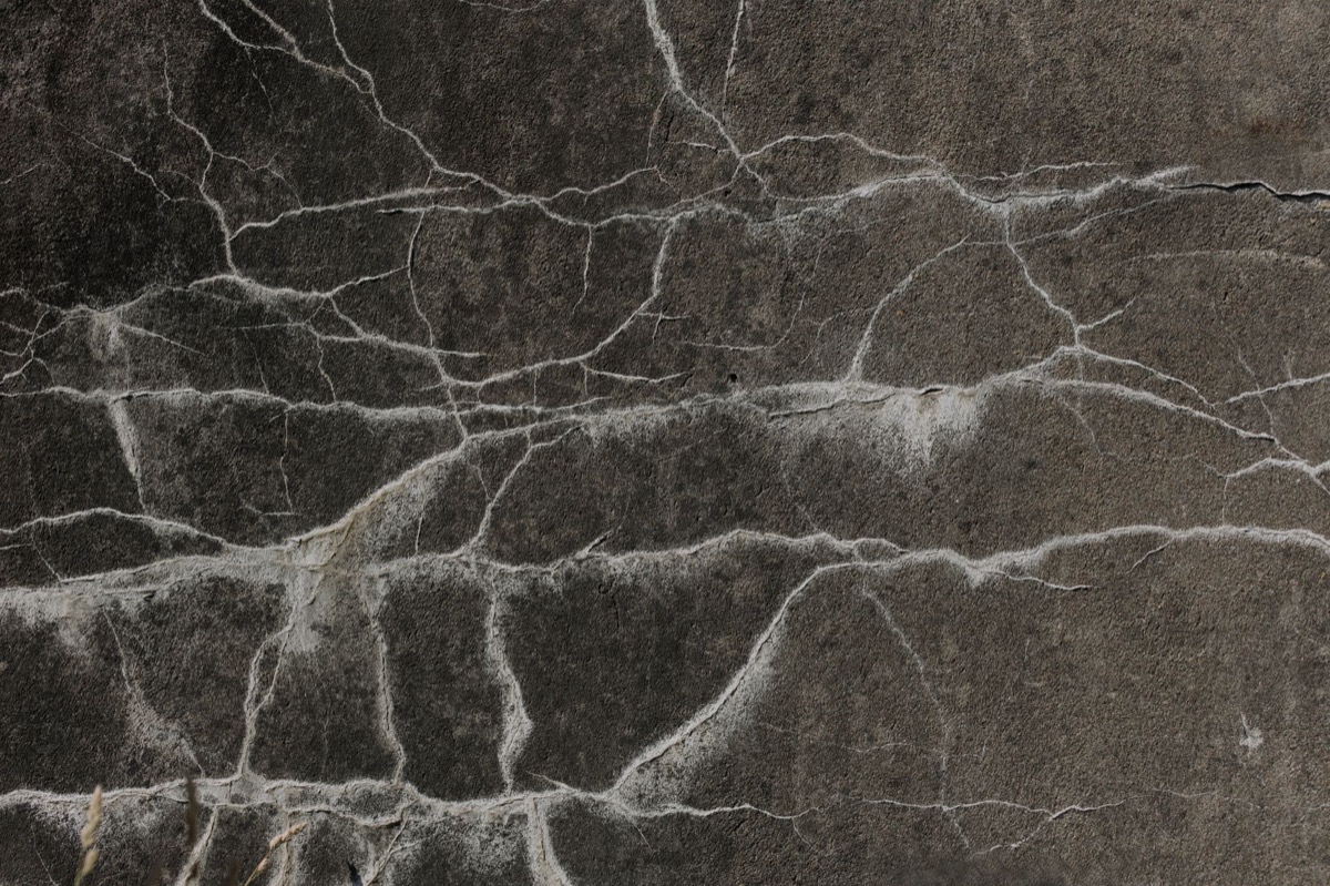 Close-up of cracked grout lines between white ceramic tiles in a shower.
